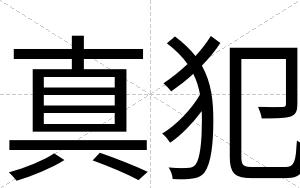 真犯