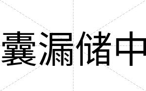囊漏储中