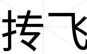 抟飞