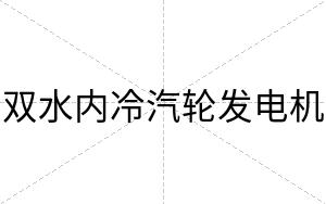 双水内冷汽轮发电机