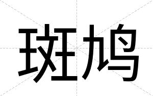 斑鸠