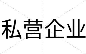 私营企业