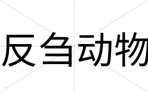 反刍动物