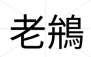 老鴘