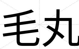 毛丸