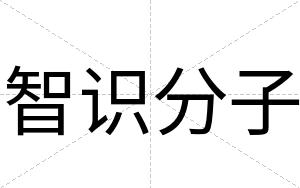 智识分子