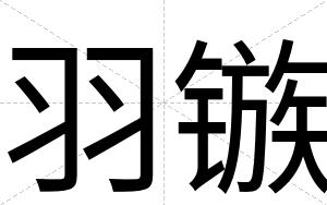 羽镞