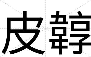 皮韕