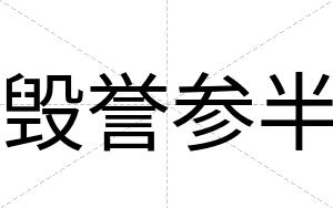 毁誉参半