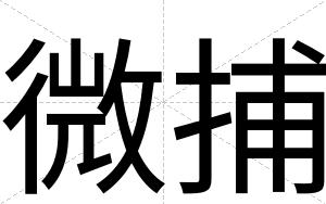 微捕