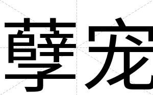 孽宠