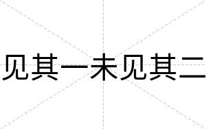 见其一未见其二