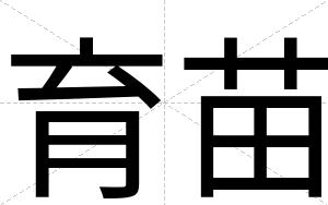 育苗