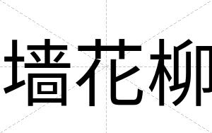 墙花柳