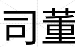 司董