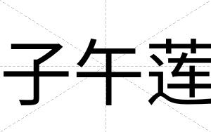 子午莲