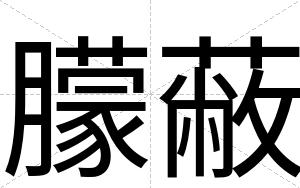 朦蔽