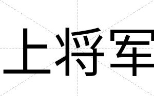 上将军