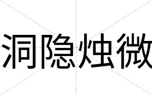 洞隐烛微
