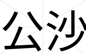 公沙