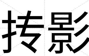 抟影