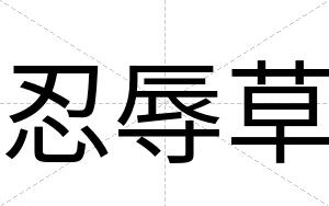 忍辱草