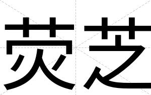 荧芝