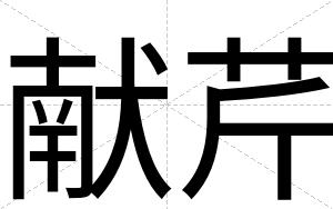 献芹