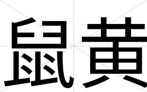 鼠黄
