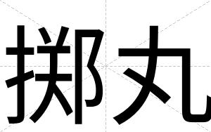 掷丸