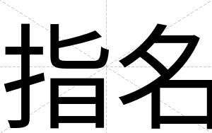 指名