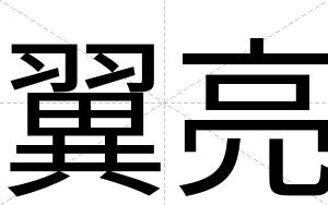 翼亮