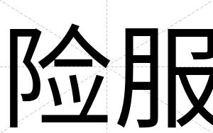 险服