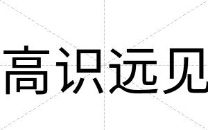 高识远见