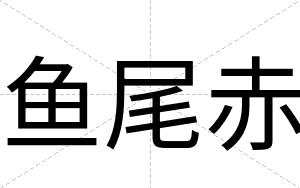 鱼尾赤