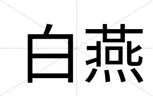 白燕