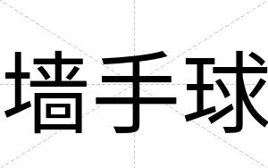 墙手球