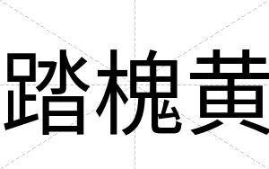 踏槐黄