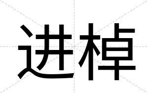 进棹