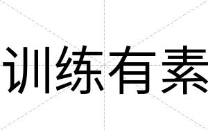 训练有素