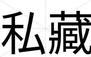 私藏