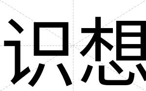 识想