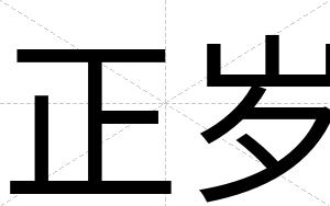 正岁