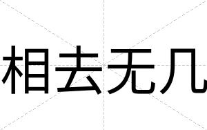 相去无几