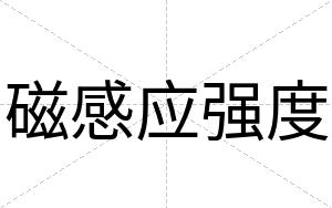 磁感应强度