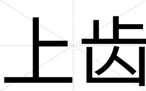 上齿