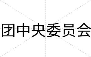 团中央委员会