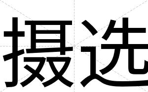 摄选