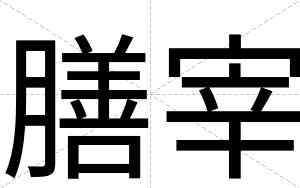膳宰