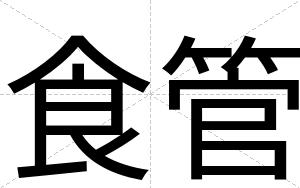 食管